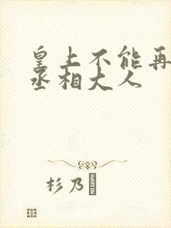 皇上不能再进了丞相大人