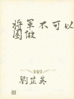 将军不可以在花园做