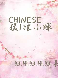 CHINESE猛1浪小辉