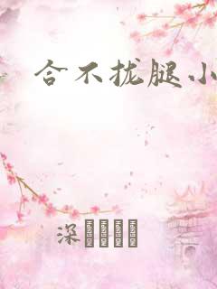 合不拢腿小说