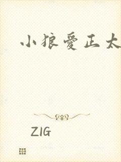 小狼爱正太