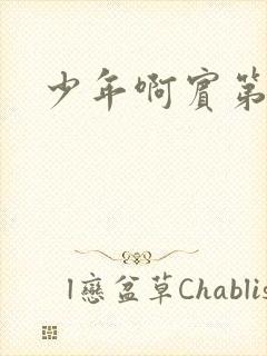 少年啊宾第二部