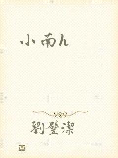 小南h