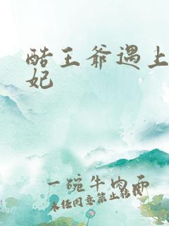 酷王爷遇上穿越妃