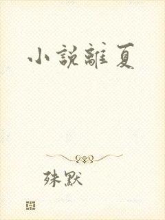 小说离夏
