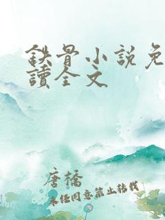 铁骨小说免费阅读全文