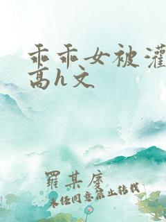 乖乖女被灌满精高h文