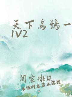 天下乌鸦一般黑1V2