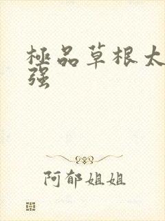 极品草根太子张强