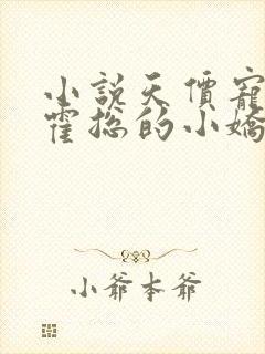 小说天价宠妻:霍总的小娇妻