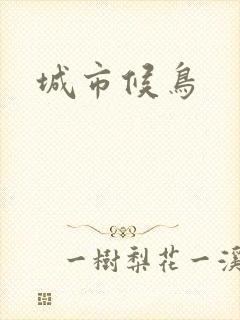 城市候鸟