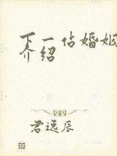 下一站婚姻剧情介绍