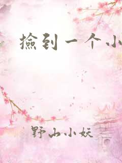 捡到一个小妖精