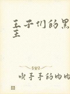 王子们的黑道公主