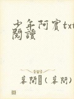 少年阿宾txt阅读