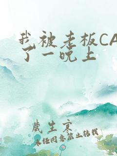 我被老板CAO了一晚上