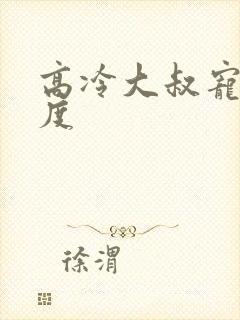 高冷大叔宠妻无度