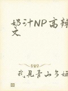 奶汁NP高辣H文