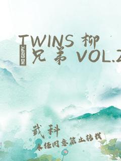 TWINS 柳澤兄弟 VOL.2