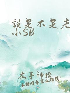 说是不是老公的小SB