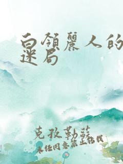 白领丽人的危情迷局