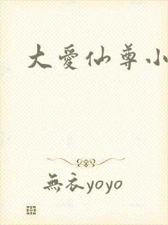 大爱仙尊小说