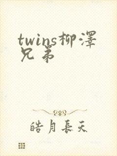 twins柳泽兄弟