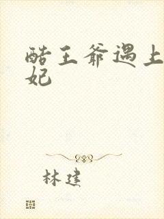 酷王爷遇上穿越妃