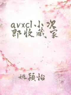 avxcl小次郎收藏家
