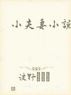 小夫妻小说