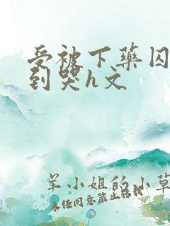 受被下药囚禁脔到哭h文