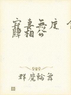 宠妻无度  金牌相公