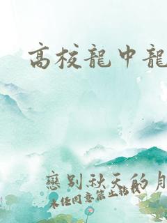 高校龙中龙全集