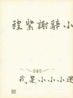 程紫谢辞小说