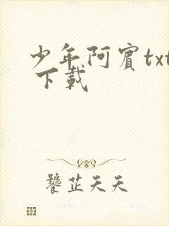 少年阿宾txt 下载
