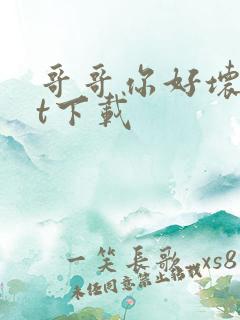 哥哥你好坏txt下载