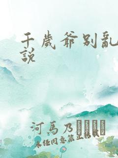 千岁爷别乱来小说