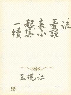 一起来看流星雨续集小说