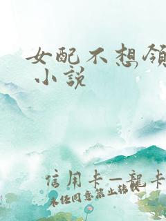 女配不想领便当 小说