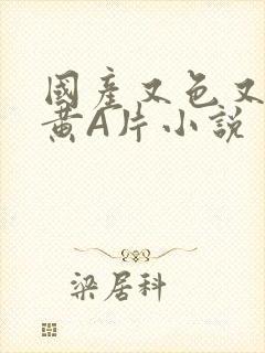 国产又色又爽又黄A片小说