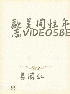 欧美同性年轻同志VIDEOSBEST