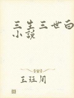 三生三世白暮泪小说