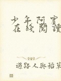 少 年 阿 宾 在 线 阅 读