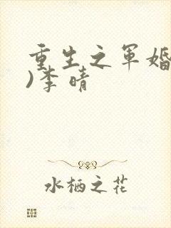 重生之军婚(h)李晴