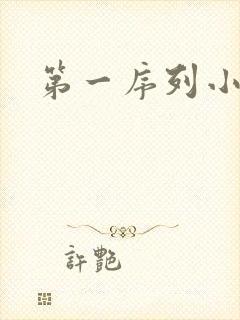 第一序列小说