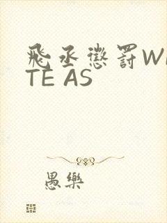 飞丞惩罚WRITE AS