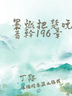 墨燃把楚晚宁按着干196章