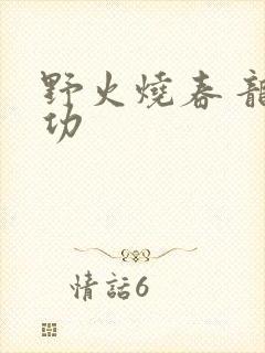 野火烧春 龙鸣功