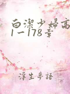 白洁少妇高义第1一178章