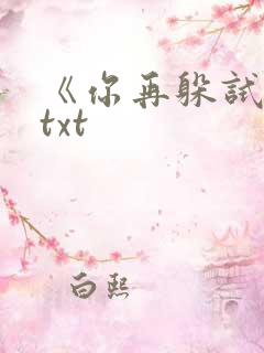 《你再躲试试》txt